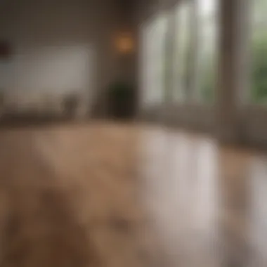 Before and After Comparison of Laminate Flooring Before and after comparison of laminate flooring shine