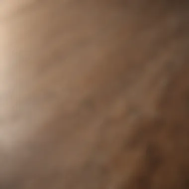 A close-up view of sparkling laminate flooring