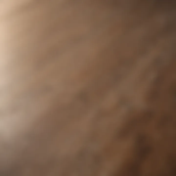 A close-up view of sparkling laminate flooring