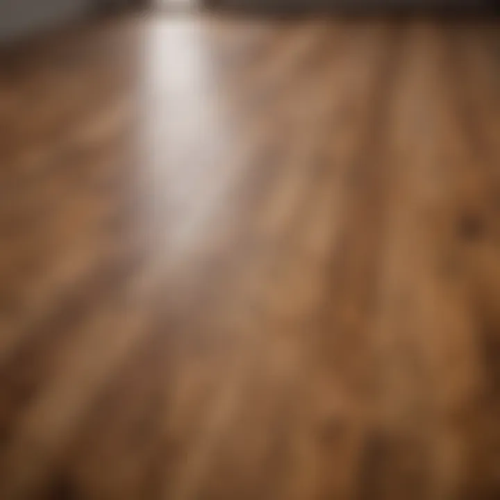 Close-up view of a wooden floor with various stains