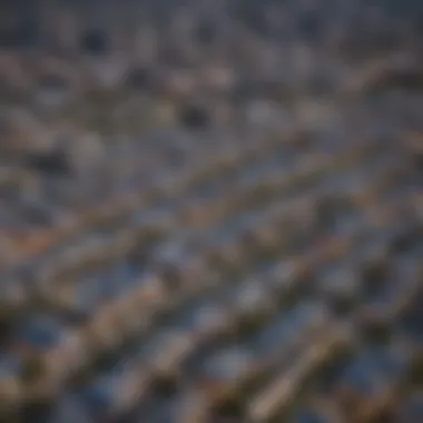 Aerial view of downtown Austin showcasing the skyline and housing developments.