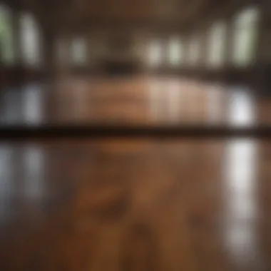 Transforming Floors: Before and After Before and after cleaning hardwood floors