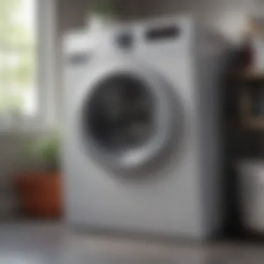 Maintenance Tips for Optimal Washing Machine Performance Visual representation of maintenance tips for washing machines