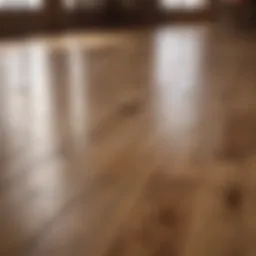 A pristine natural hardwood floor reflecting sunlight