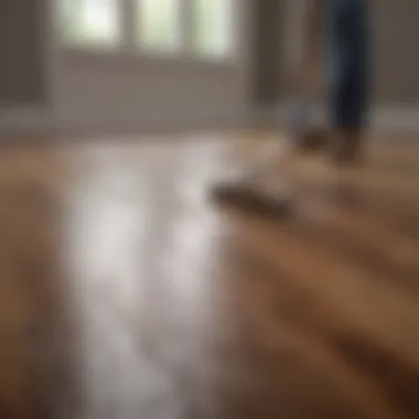 Close-up of hardwood floor cleaning solution being applied