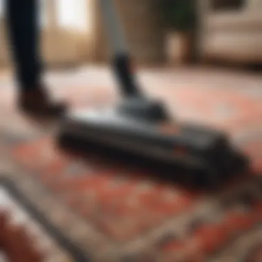 Routine maintenance of a Safavieh rug with a vacuum cleaner