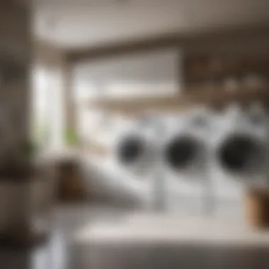 Maintaining a Pristine Laundry Environment A clean and organized laundry room with sparkling appliances
