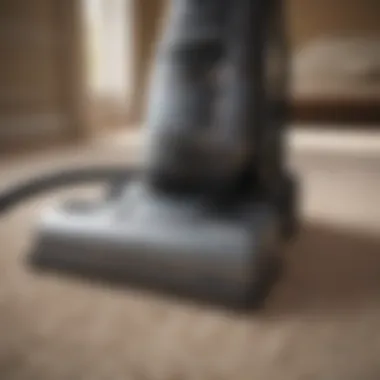 A pristine carpet being cleaned with a professional machine