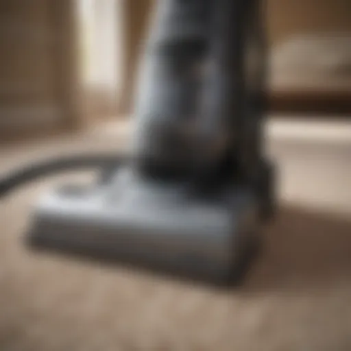 A pristine carpet being cleaned with a professional machine