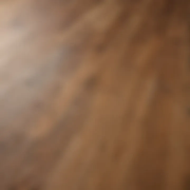 A close-up of a well-maintained wooden floor