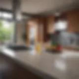 A gleaming kitchen countertop showcasing modern cleaning techniques.