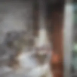 An organized checklist on a clipboard