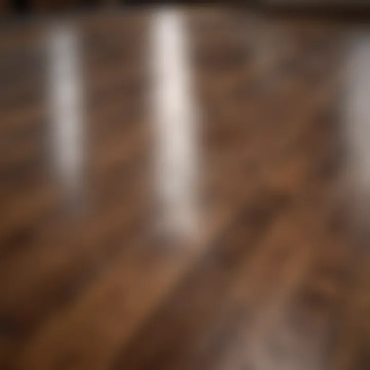 Detailed technique for removing stains from hardwood floors