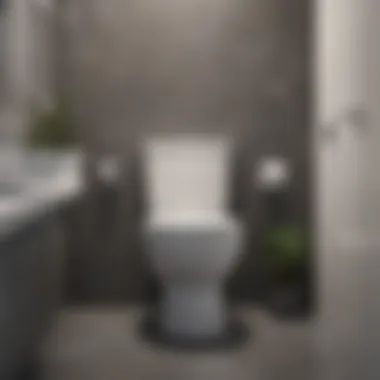 Preventative Measures for Toilet Maintenance Preventative measures to maintain toilet function