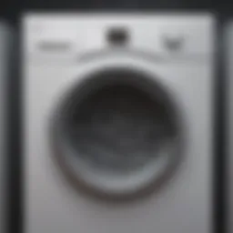 Illustration of dryer lint buildup