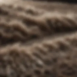 Close-up of a shag rug texture