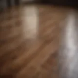 Elegant wood floor glistening after cleaning