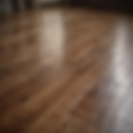 Elegant wood floor glistening after cleaning
