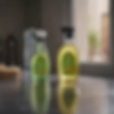 Close-up of eco-friendly cleaning products