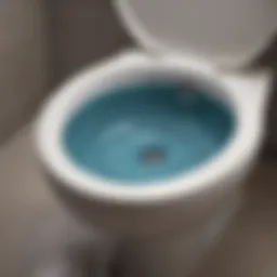 Close-up of a clogged toilet bowl filled with water