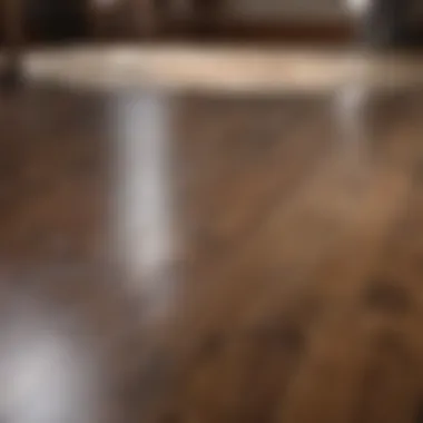 Demonstrating Cleaning Method for Faux Wood Floors Demonstration of a suitable cleaning method for faux wood surfaces
