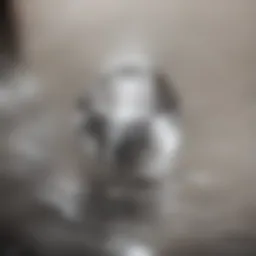 A shiny stainless steel appliance with visible water spots