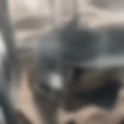 Close-up of a plunger ready for action