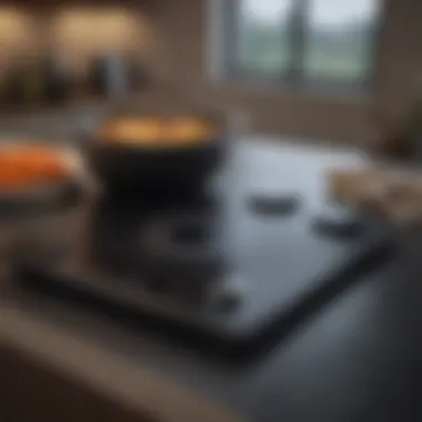 A pristine electric cooktop showcasing its sleek surface