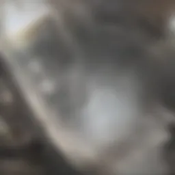 Essential tools for bathtub drain maintenance