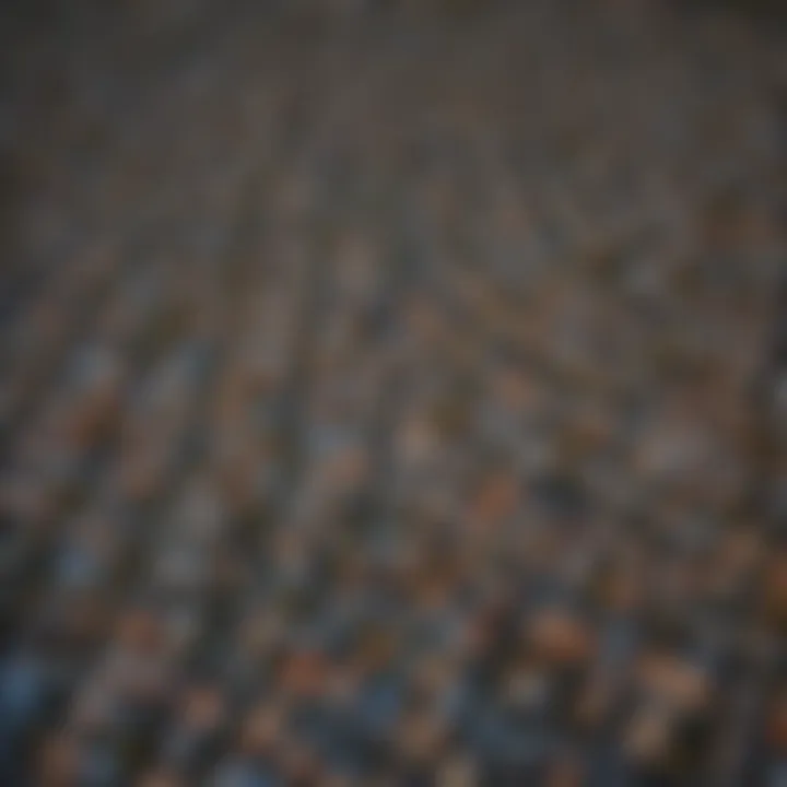 Aerial view of a vibrant Denver neighborhood