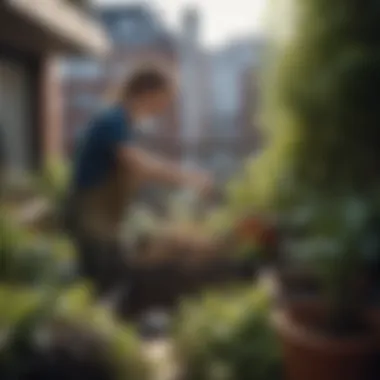 Tending to Compost Heap in Urban Balcony Garden A person tending to a compost heap on a balcony, illustrating urban gardening