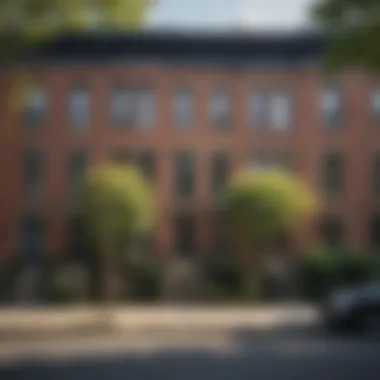 Row houses lined along a historic D.C. street.