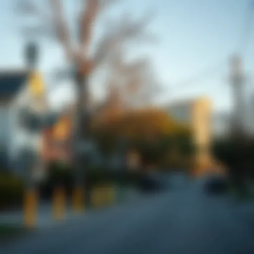 A peaceful street scene in a neighborhood in Austin.