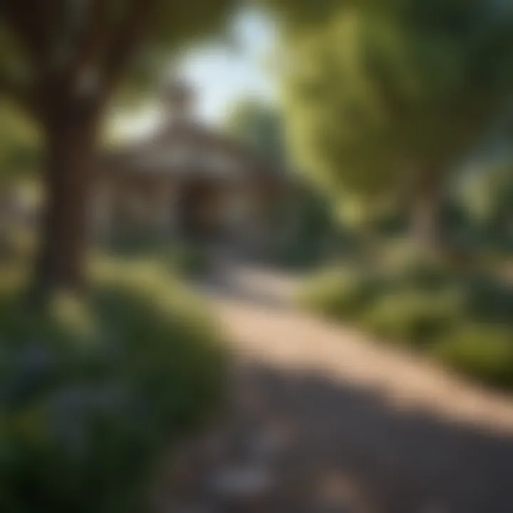 A serene park setting in one of Denver's popular neighborhoods