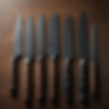 Variety of Kitchen Knives Different types of kitchen knives arranged elegantly