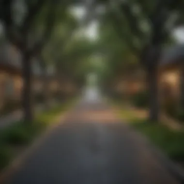 Charming tree-lined street in a residential Austin neighborhood