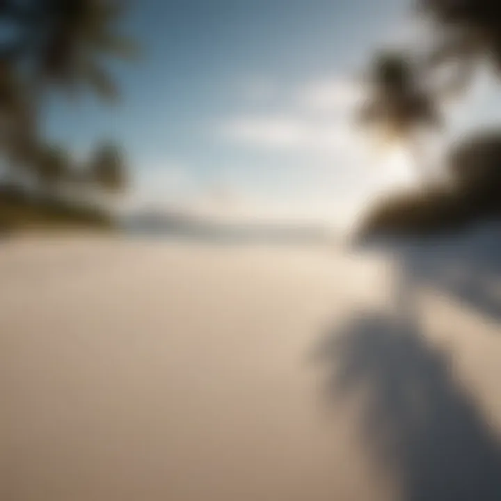 A serene beach scene at South Beach with clear blue skies and soft white sand