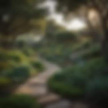 Lush landscaping in a South Austin neighborhood