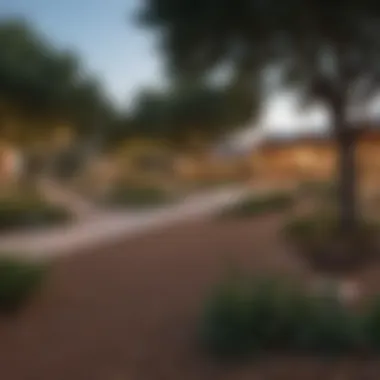 Community Park in a Developing Austin Neighborhood Community park in a developing area of Austin