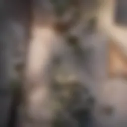 Properly installed dryer vent outlet