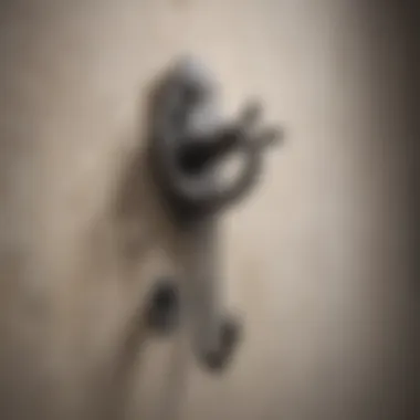 A close-up of wall anchors and hooks used for mounting pictures