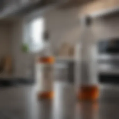 Everyday Use of Vinegar for Stainless Steel Care Household vinegar bottle next to stainless steel appliances