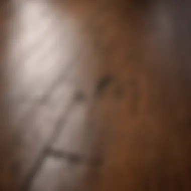 Close-up of a scratch on hardwood floor