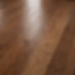A close-up view of a hardwood floor with a visible stain