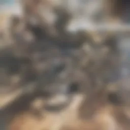 A strategic blueprint for real estate investment success