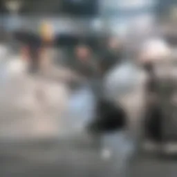 Overview of common kitchen sink clogging culprits