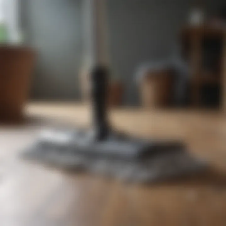 Overview of various mop types suitable for floating floorboards