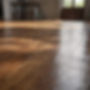 Eco-Friendly Ingredients for Hardwood Care Natural ingredients for cleaning hardwood floors