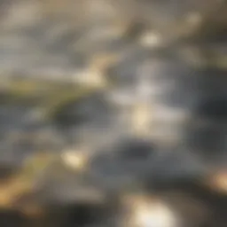 Urban landscape of Los Angeles with apartment buildings