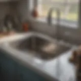 View of a clogged kitchen sink with water pooling around the edges